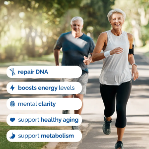 HARMONIFY Nad Supplement (500mg of 95% Pure Nad+ Per Serving, 30-Day Supply)